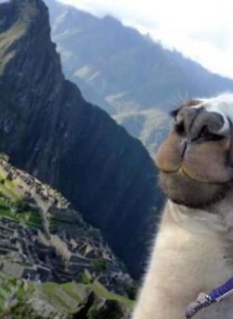 Jared Leto v Machu Picchu