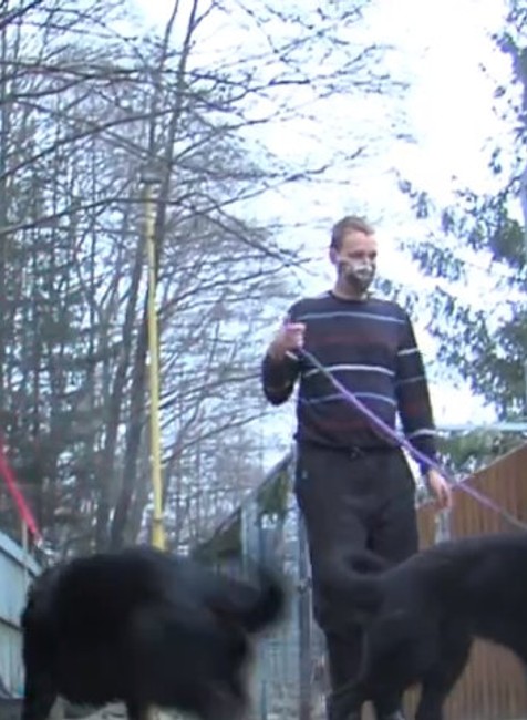 Psov údajne chcel predať na masť.