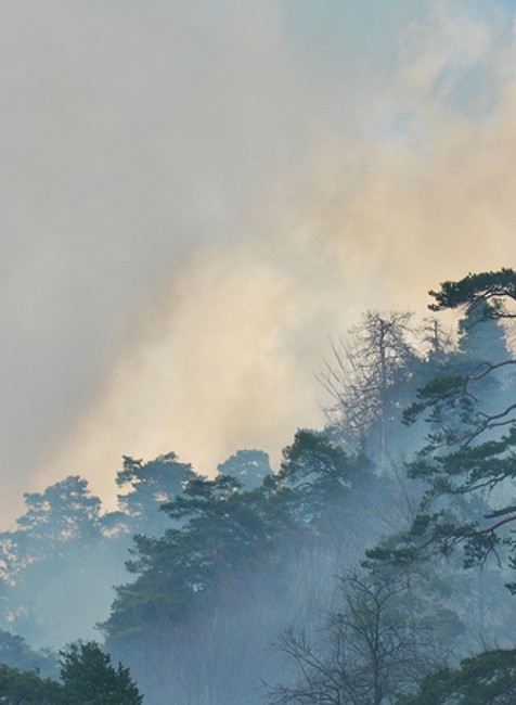 Požiar Staré Hory_hasenie lesa