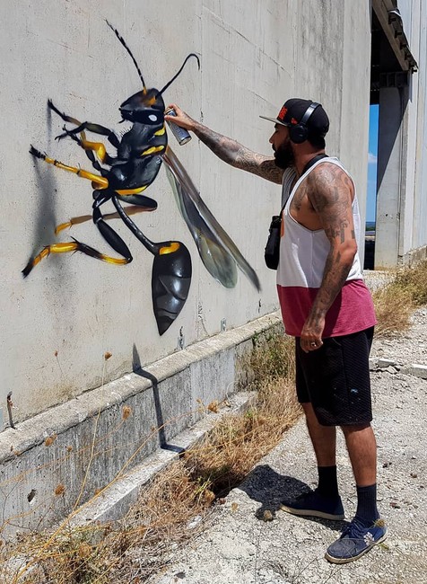 Strašidelné graffiti hmyzu