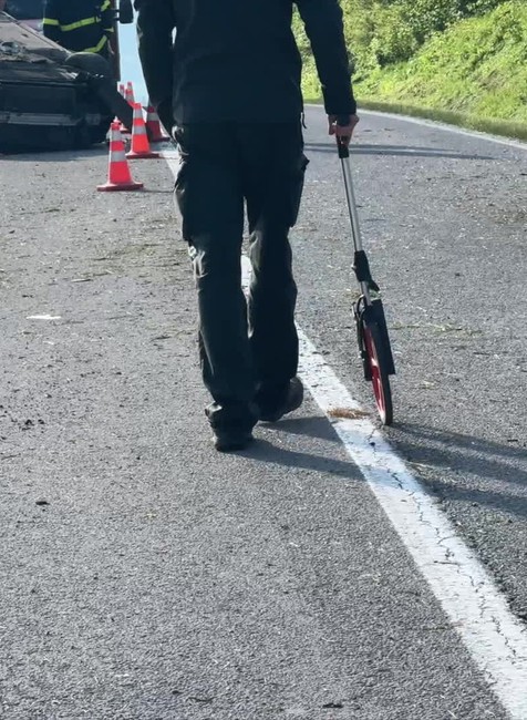 [multi] 051124THG 5072