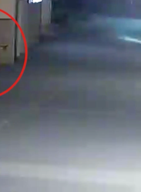 Kradol rybárskou udicou na trhovisku