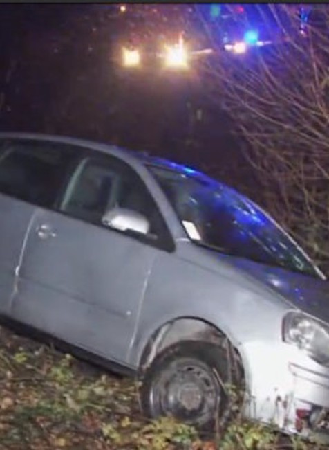 Zveri sa už nemal šancu vyhnúť. S autom zastavil až pri železničnej trati