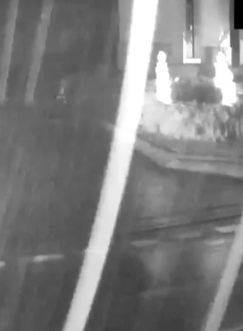 [multi] Ukradnuta ovca 11371