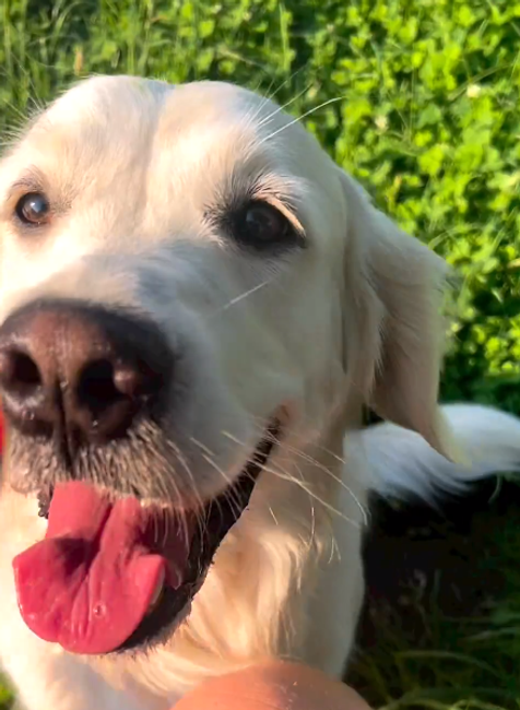 Suška Jiřího Langmajera Maybe