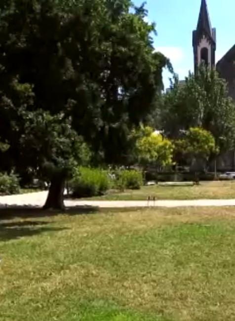 Spoznali sa netradične a ich láska pretrvala. Reportérka TV JOJ Veronika Daubnerová povedala ÁNO