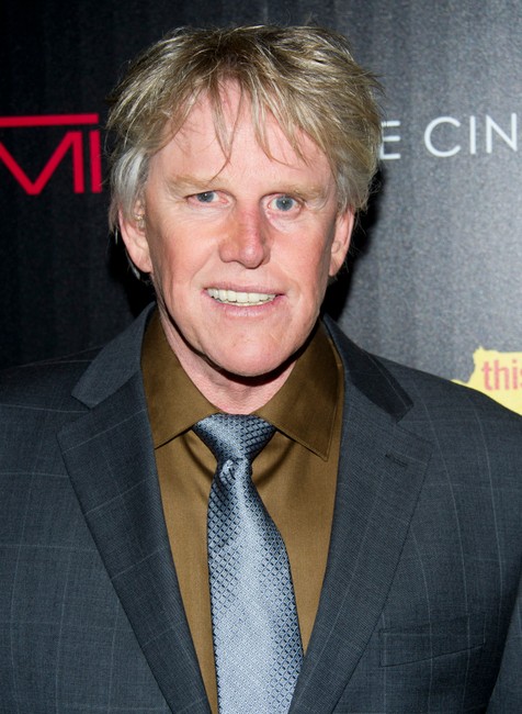 Gary Busey