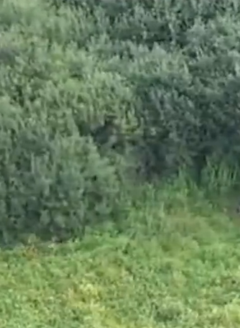 Dron pri policajnom zásahu na hraniciach odhalil nelegálneho migranta