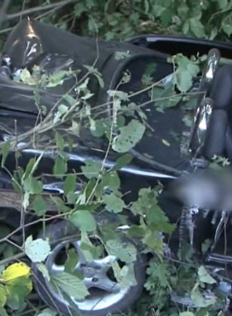 Auto skončilo medzi stromami.