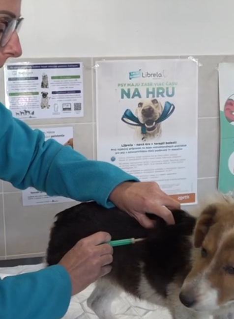 Snímka obrazovky 2024-10-03 173824