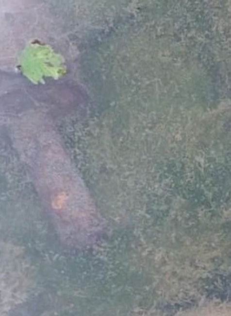 Screenshot 2024-07-28 172610