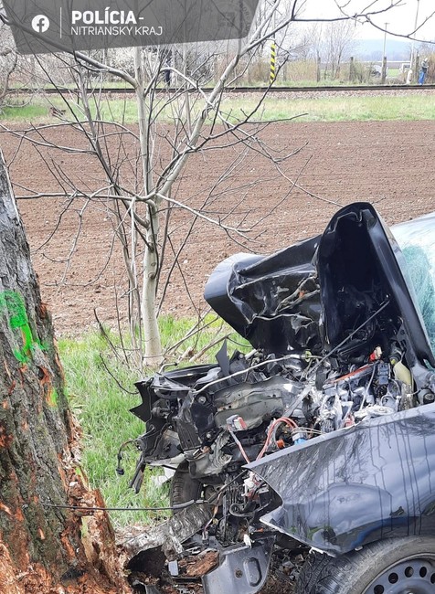 340407869_2522363071246251_1534772805883074424_n