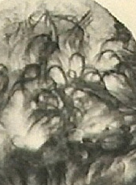 Marie Fikackova  obet