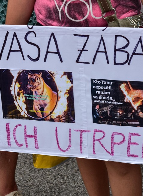 Protest proti cirkusu 