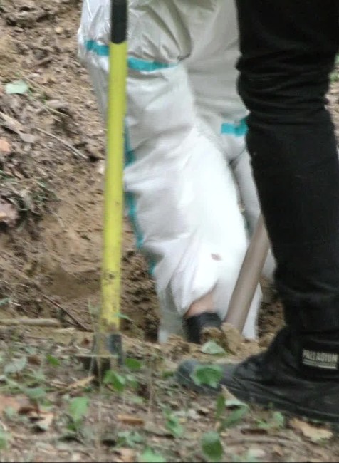 [multi] 070724XMZ 5071