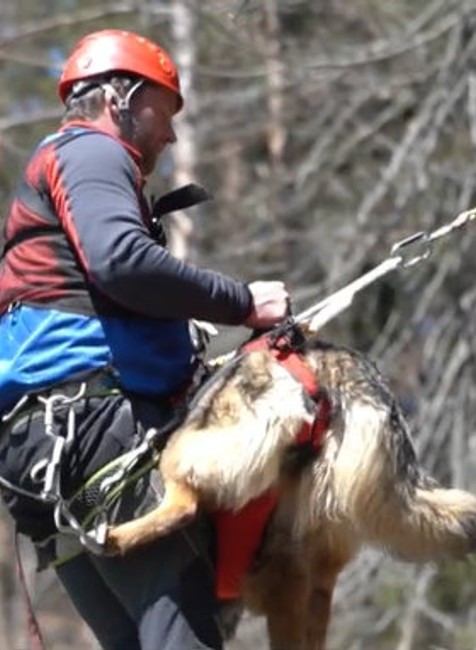 Záchranári, psy a technika v teréne