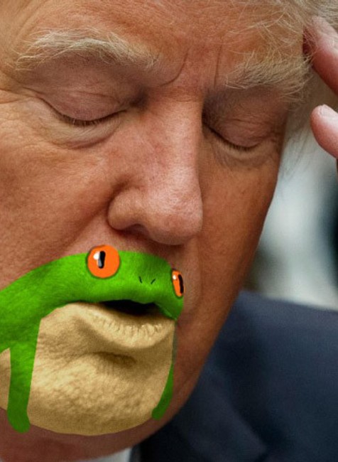 Donald Trump, žaba