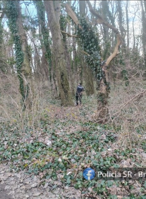 Pátranie po Terézii