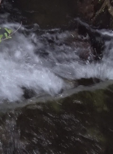 [multi] 041324EKV 2564