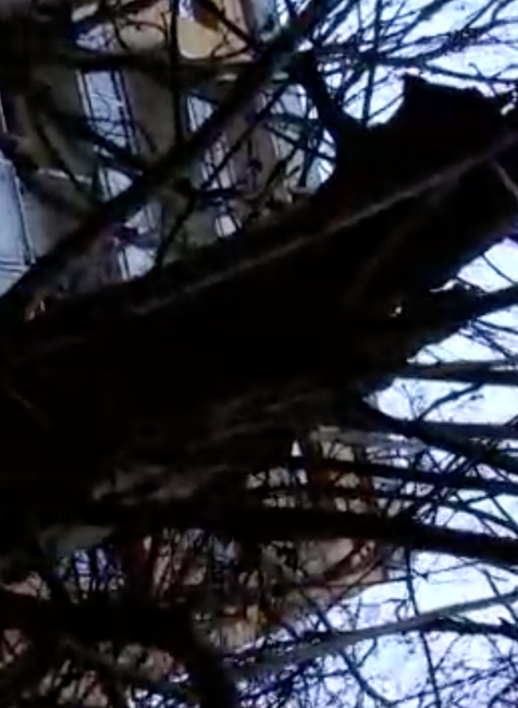 Muž chcel spáchať samovraždu. Po záchrane zaútočil na policajtov