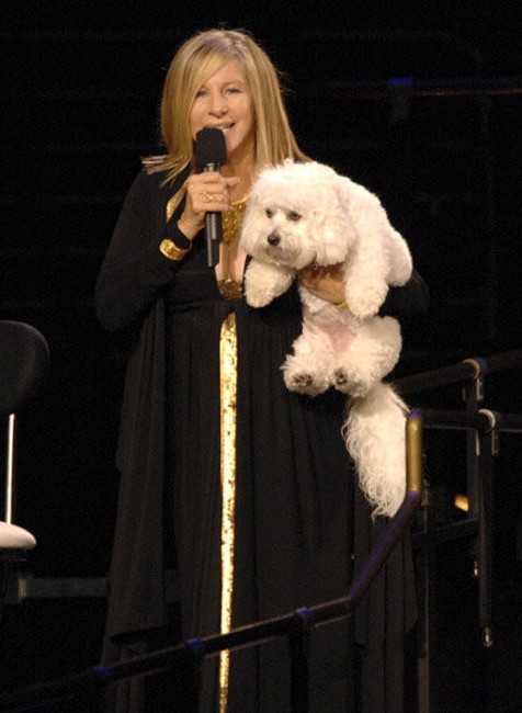 Barbra Streisand