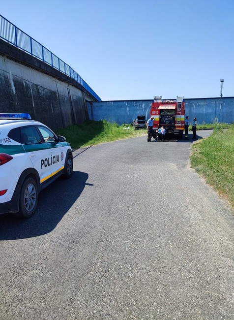 347236345_3490820157862469_884669514412204705_n