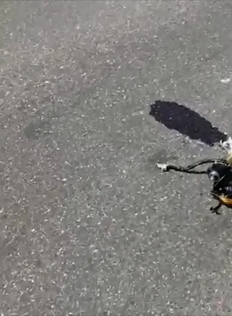 [multi] Nehoda motorkára s autom v úseku Petržalka - Rusovce 385