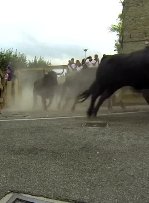Video: Tradičný beh pred býkmi sa skončil piatimi zranenými