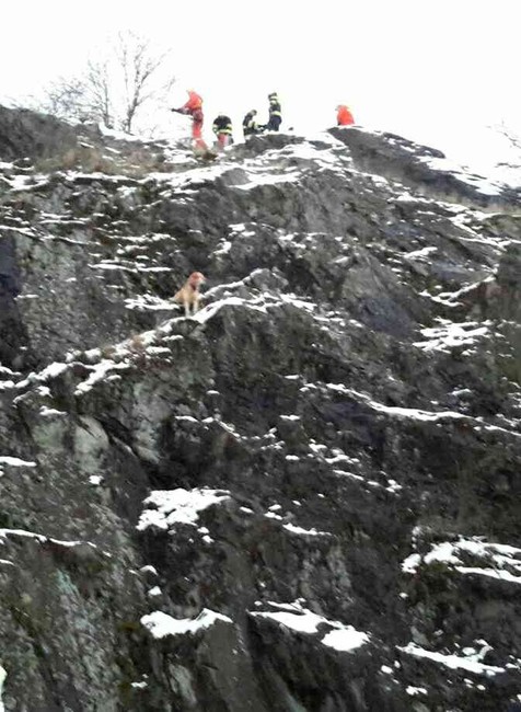 Záchrana psa Blansko