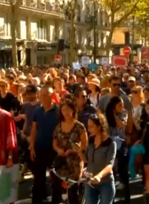 Klimatické zmeny - protesty