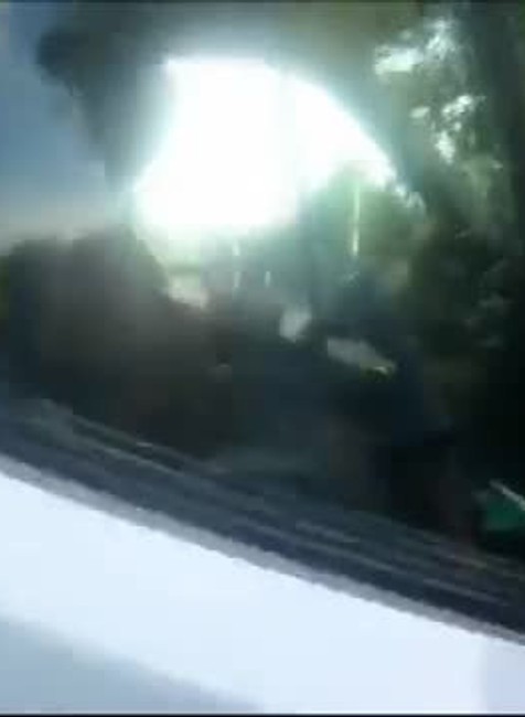 Opitý šofér Brno4308