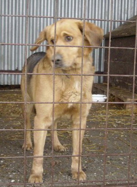 Karanténna stanica č.2