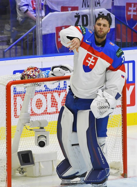 SVK FRA