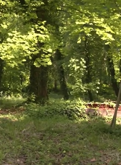 Šikana dievčaťa v Mojmírovciach