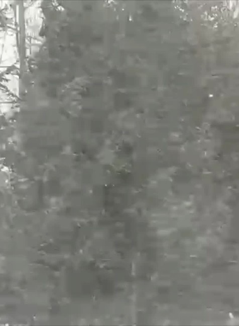 [multi] vietor 17.1. 14166