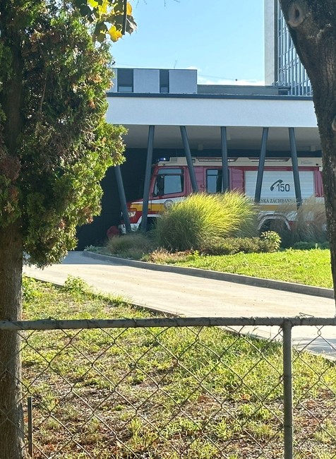 WhatsApp Image 2024-09-19 at 09.55.08