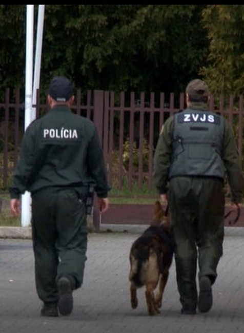 Pre bombu evakuovali stovky študentov. Z anonymného telefonátu obžalovali študentku