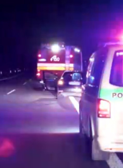 Auto zrazilo medveďa