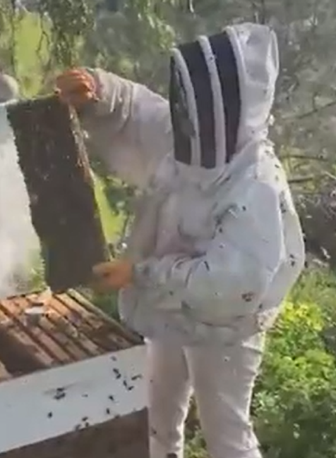 Screenshot 2024-05-05 102118