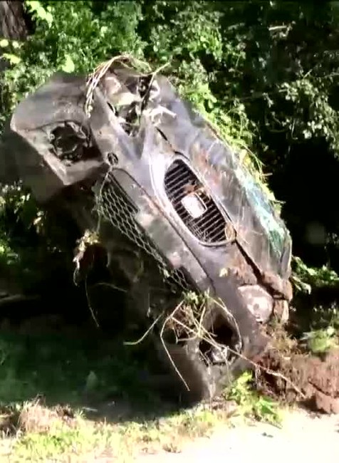 [multi] Konár prepichol čelné sklo 803