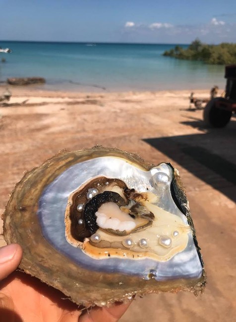 Nečakaný objav. Lastúra s 10 perlami 