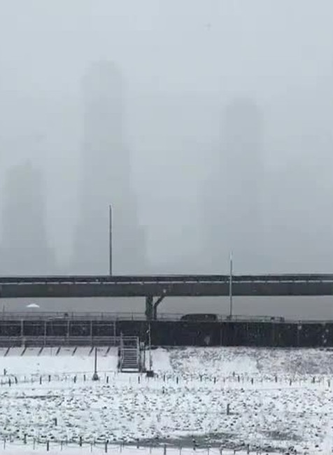 [multi] new york sneh 22048