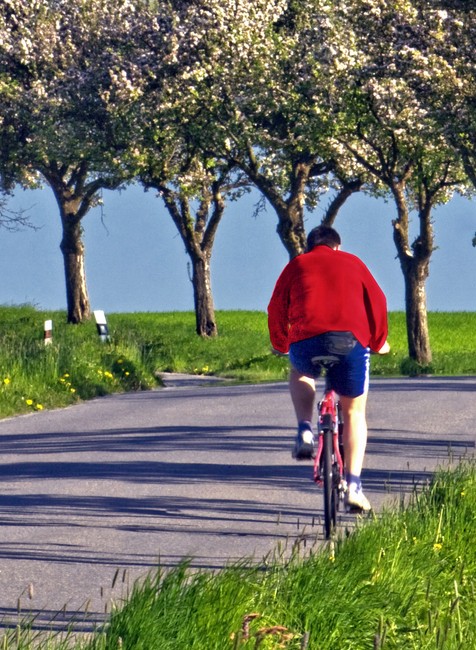 Cyklista ide po ceste