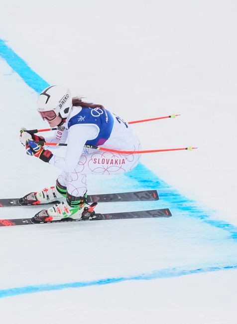 20262002_zoh_fricova_01195694