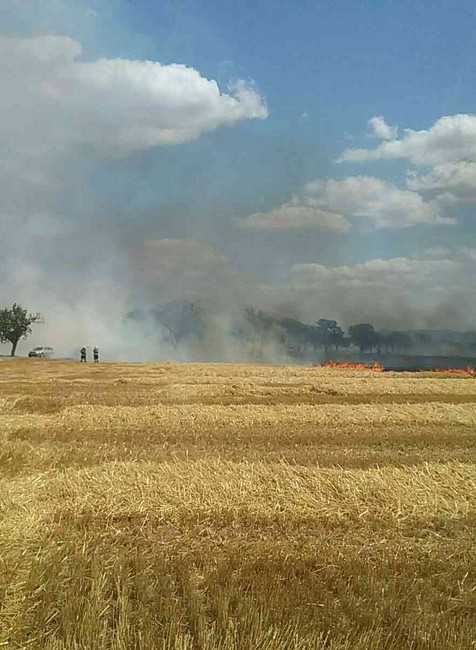 Polia v dedine pri Piešťanoch zachvátil obrovský požiar. Polícia premávku zastavila
