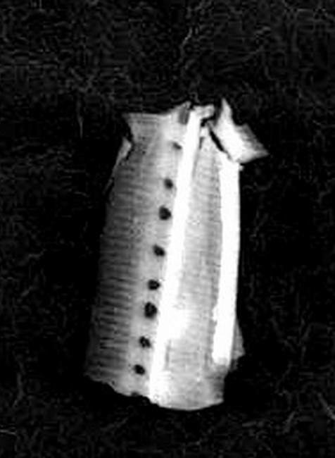 dôkaz mimozemský život 1