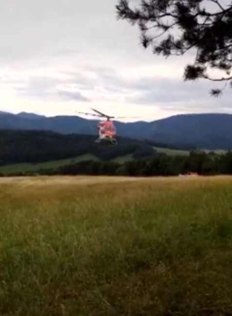 Dôchodcu z Domažiny zavalil v hore strom. Nevedel sa pohnúť, v lese ležal tri dni