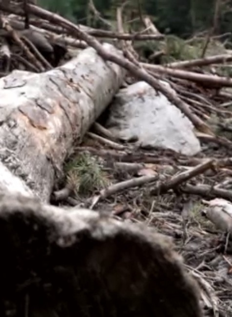 Vo Vrátnej zasahoval vrtuľník. Na pilčíka pri práci padol kmeň