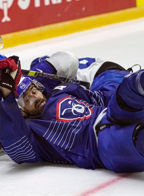 Francúzsko - Slovensko 7