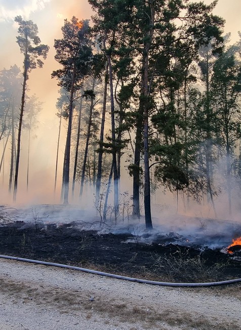 WhatsApp Image 2024-09-04 at 15.13.27